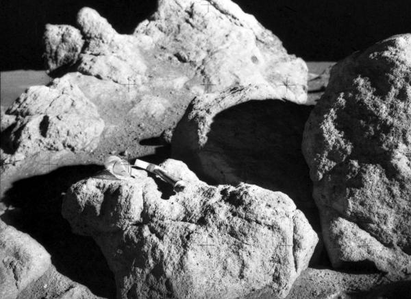 Lunar Surface During Apollo 14
