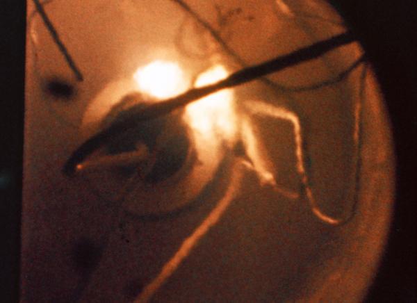 Apollo 13 Postflight Teflon Insulation Test